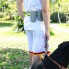 Поводок-Пояс Hands Free для собак Puppy Dog Harness 1.45 м