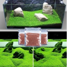 Семена Аквариумных растений Verte-X водоросли Glossostigma Hemianthus Callitrichoides крупный лист