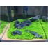 Семена Аквариумных растений Verte-X водоросли Glossostigma Hemianthus Callitrichoides крупный лист